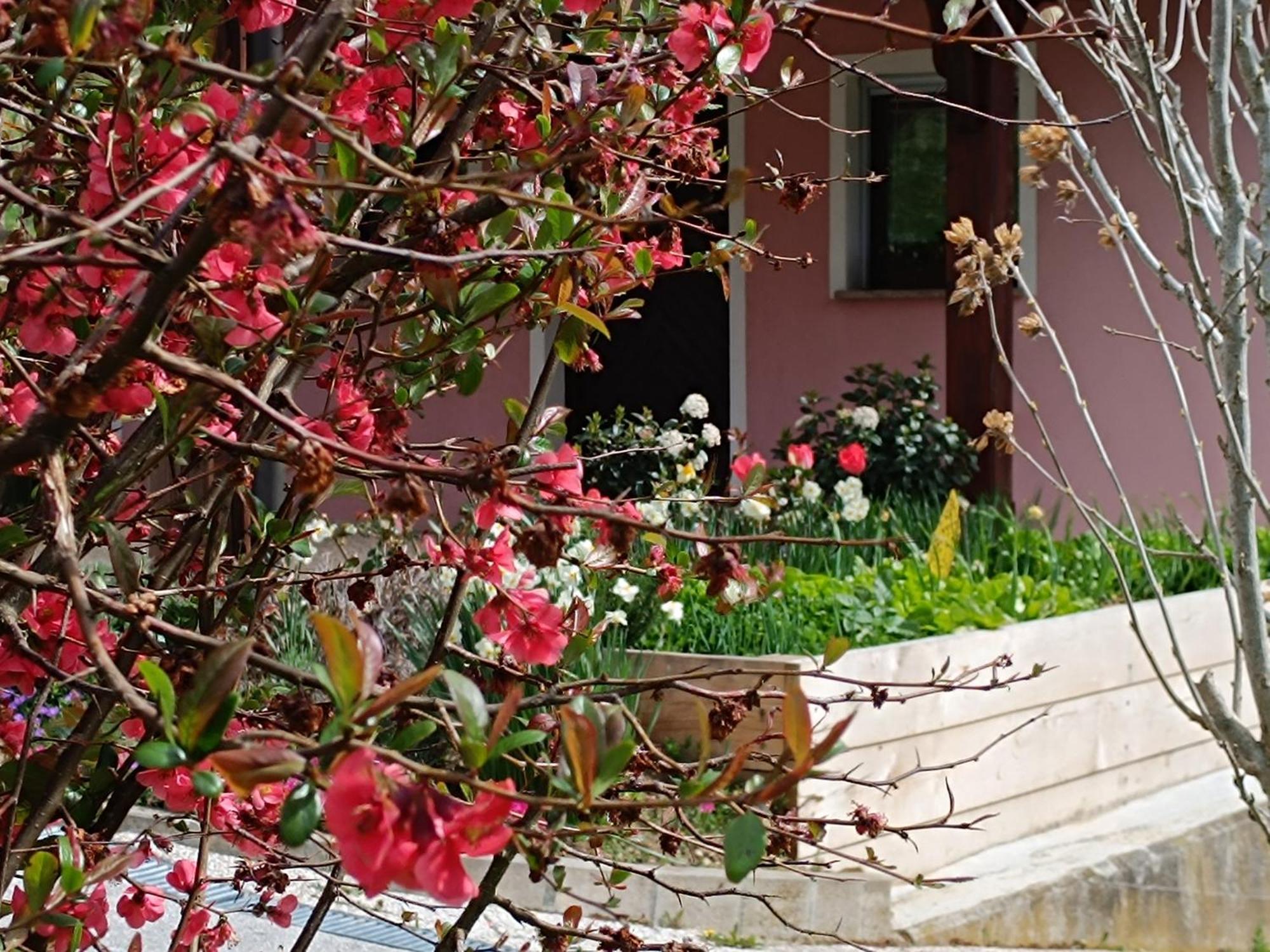 Hiska Na Gorci Podčetrtek Exterior foto